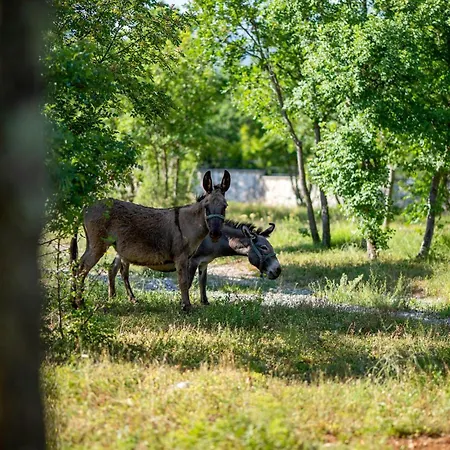 キャンプ場 2 Bedroom Cozy Stacaravan In オブロヴァツ